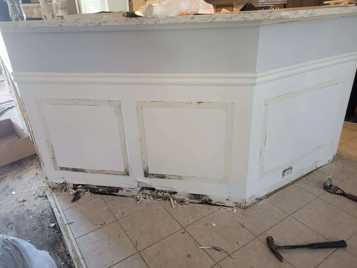 Water damage and mold on kitchen during Sewage Cleanup & Sanitation in DeLand
